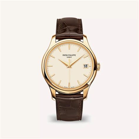 patek philippe brown watch|cheapest Patek Philippe watch.